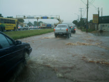 MARGINAL DA BR ALAGADA 1ª foto