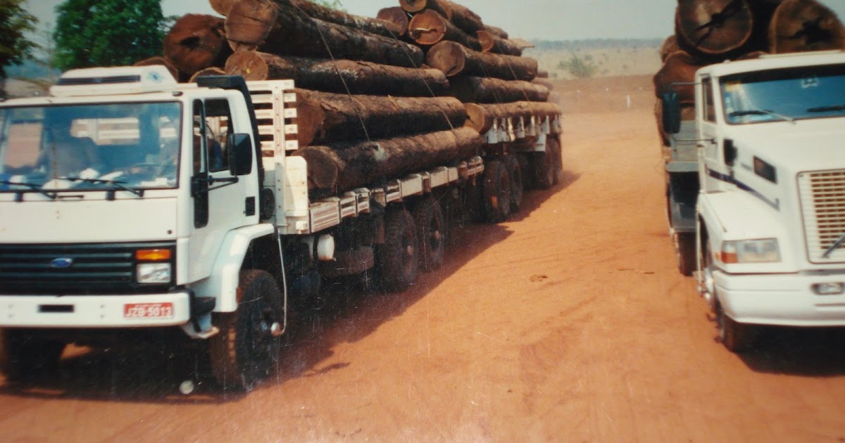 Curiosidades da Net: PERGUNTA CURIOSA