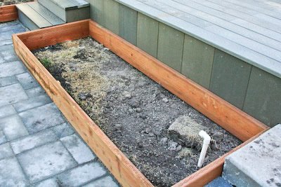 [tomato-beds-kalyns-kitchen.jpg]