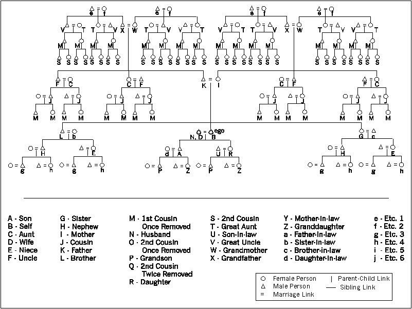 Kinship - An Overrated Phenomenon?