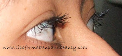 Kate Mascara Base