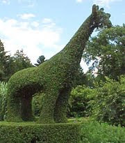 Interesting Places From Around The World Green Animals Topiary Garden