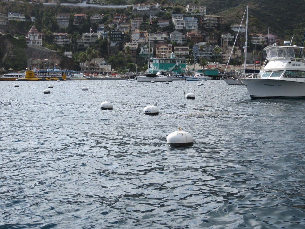 s/v Hotel California Mooring Balls in Catalina