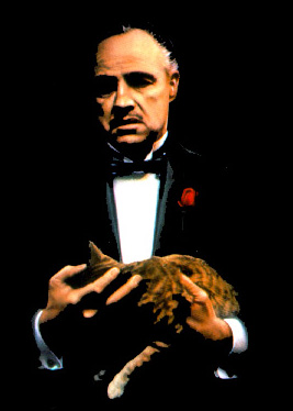 [godfather.jpg]
