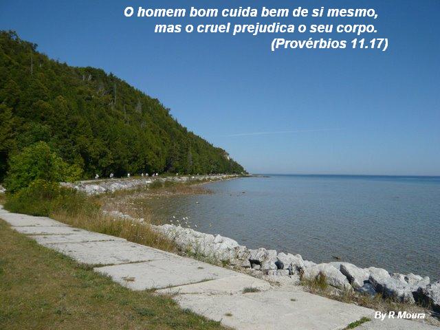 [P1000840a.JPG]