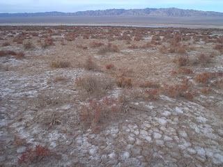 Mongolian Range