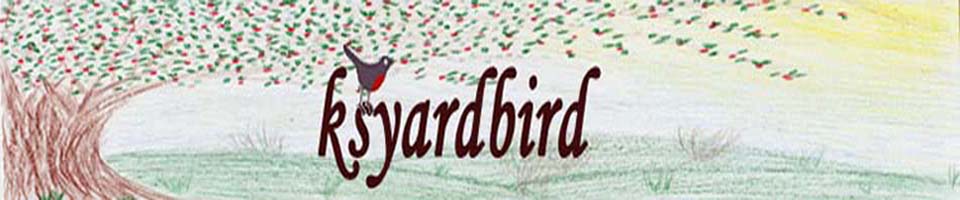 ksyardbird - Robin Zs musings, mutterings, and creative muddle