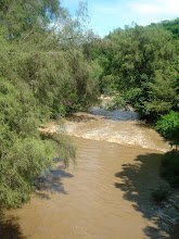 TONALAPA DEL RÍO