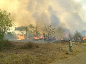 Se incendia La Pampa