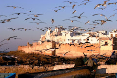 Passions Voyages Essaouira