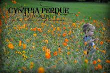 Cynthia Perdue Photography