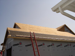 Plywood roof goes on.