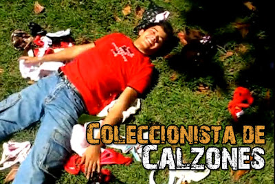 VIDEOS DE CONCIERTOS EN VIVO videos de conciertos en vivo:
