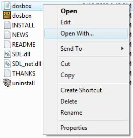 Editing Dosbox config file