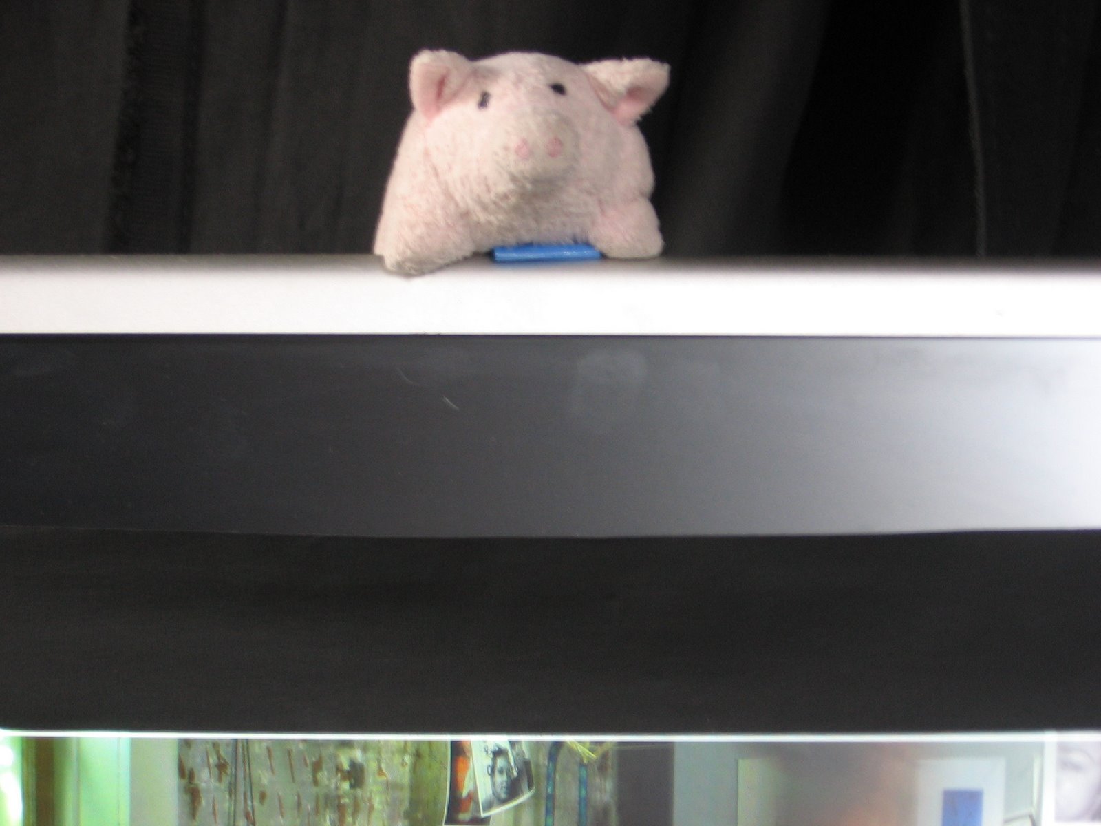 [lil+p++on+monitor.JPG]