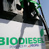 Gaza university students produce biofuel
