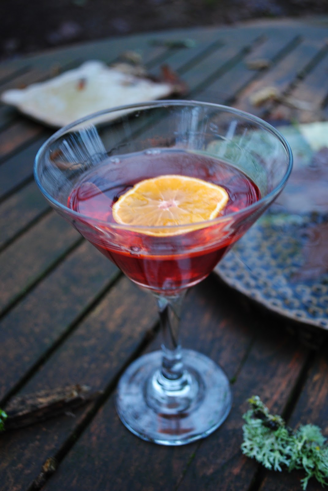 Negroni The Perfect Winter Cocktail The Enchanted Spoon