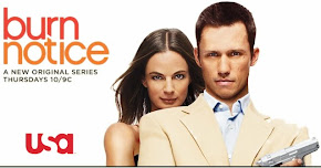 BURN NOTICE