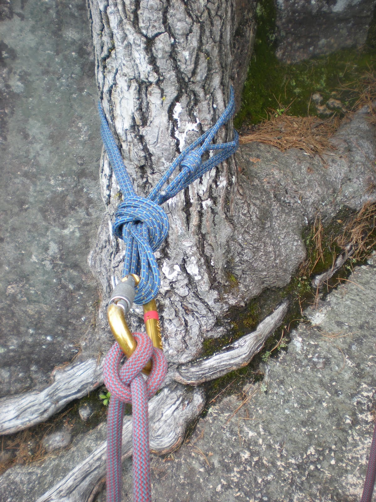 Art Mooney IFMGA/AMGA Licensed Mountain Guide Anchor and Transition