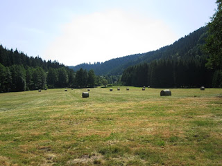 Dandy Von Nutzen The Winter Shade Of Gray Hutznhaisl