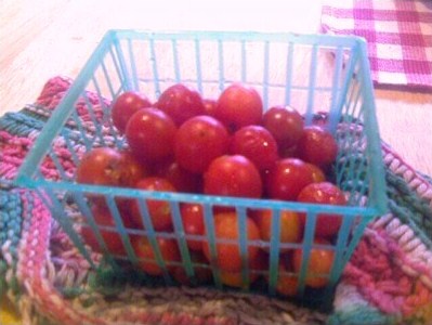 [Grape+Tomatoes+from+jardin+de+¡Viva+La+Verde!.jpg]