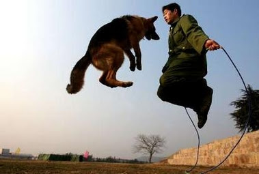 jump