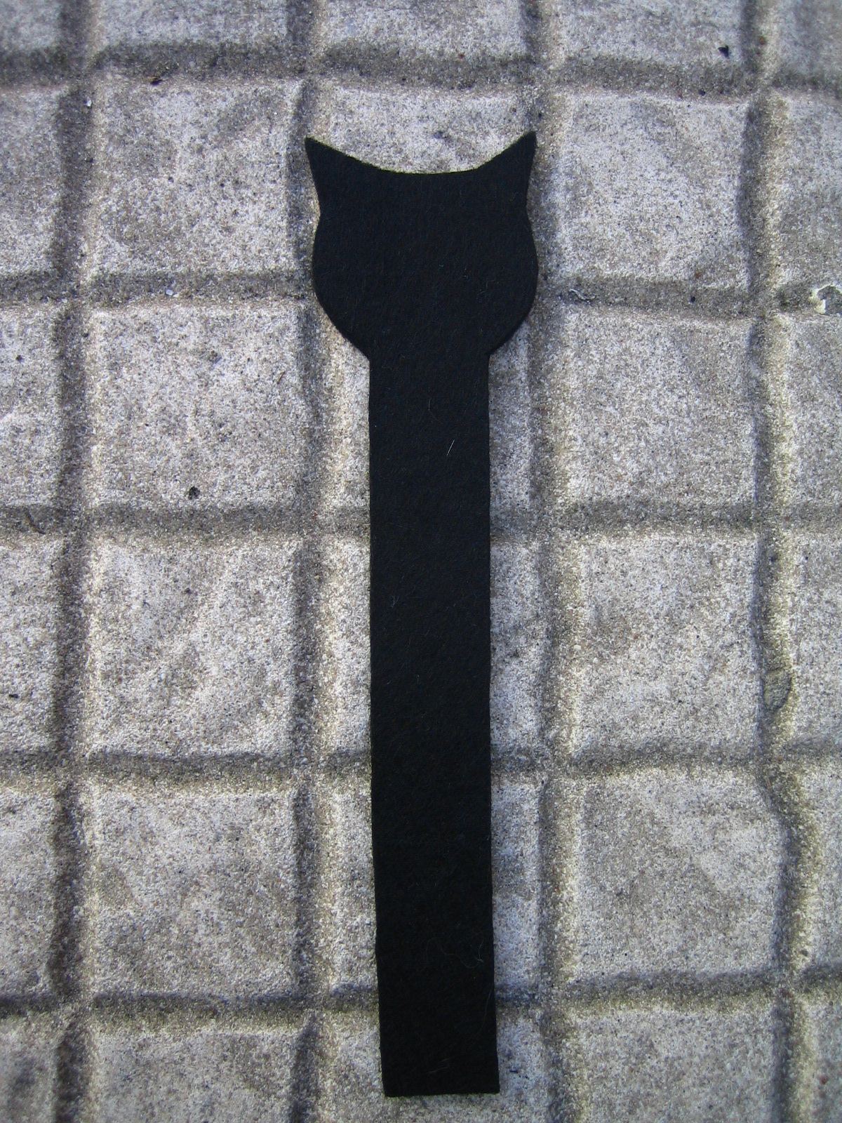 [IMG_7191.JPG]