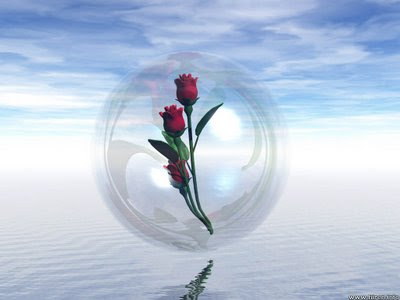 نقره لتكبير أو تصغير الصورة ونقرتين لعرض الصورة في صفحة مستقلة بحجمها الطبيعي