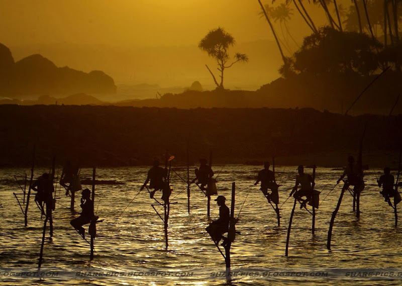 fisherman