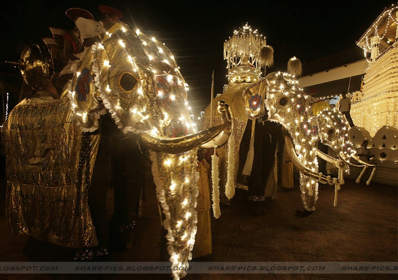 Esala perahera festival