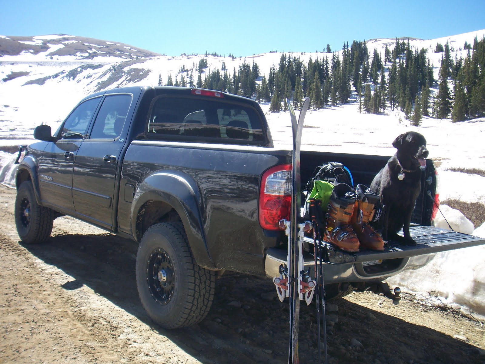 Colorado FreeSkier Cottonwood Skiing!
