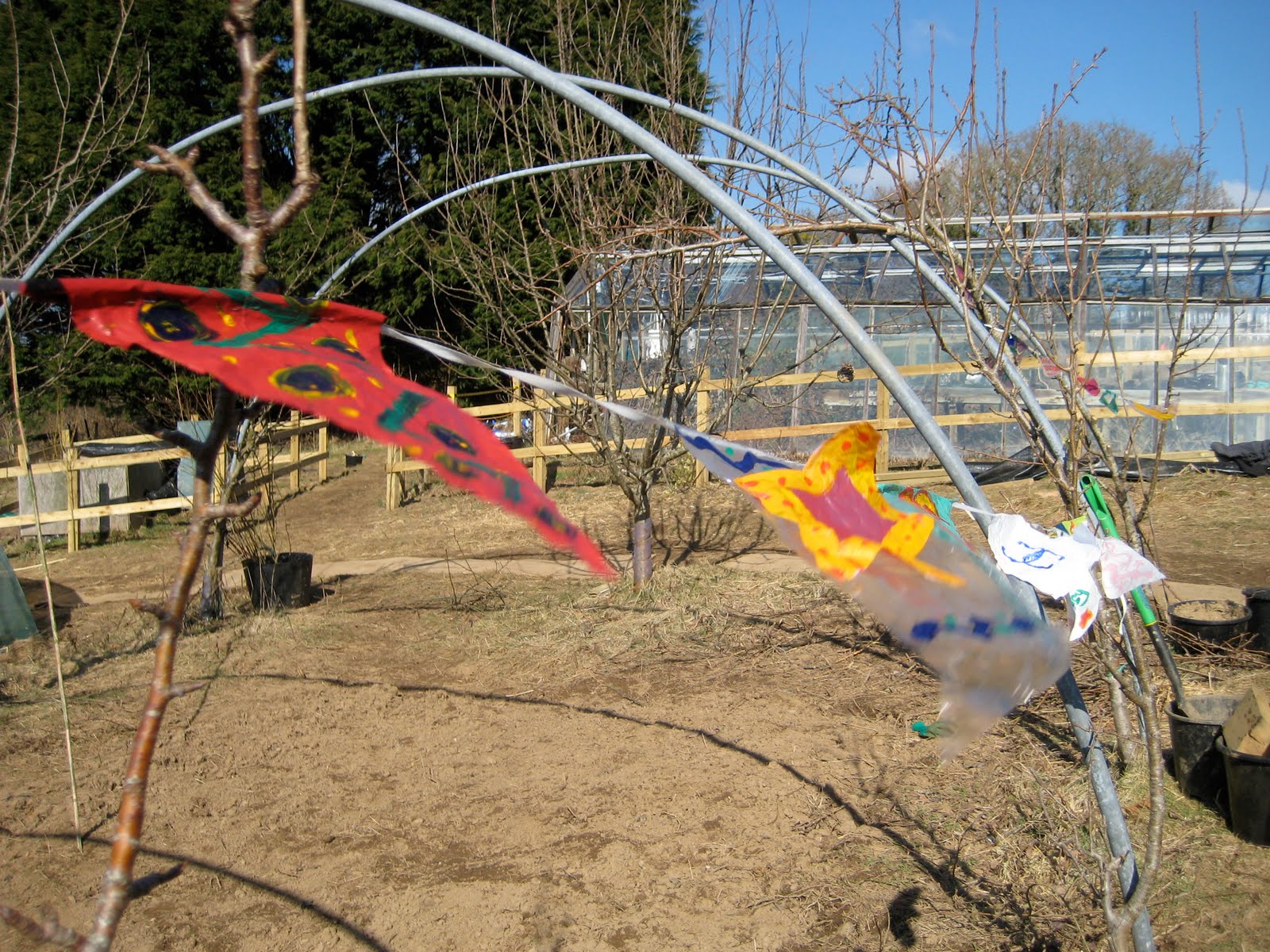 [IMG_0500.JPG]
