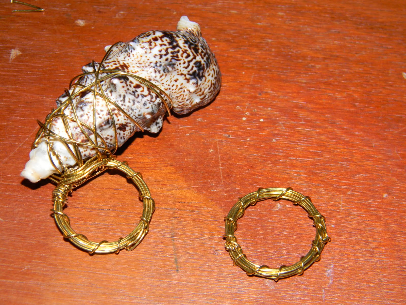 Amanda's Photo Garden DIY Stone Ring, Seashell Ring, and Seashell Necklace