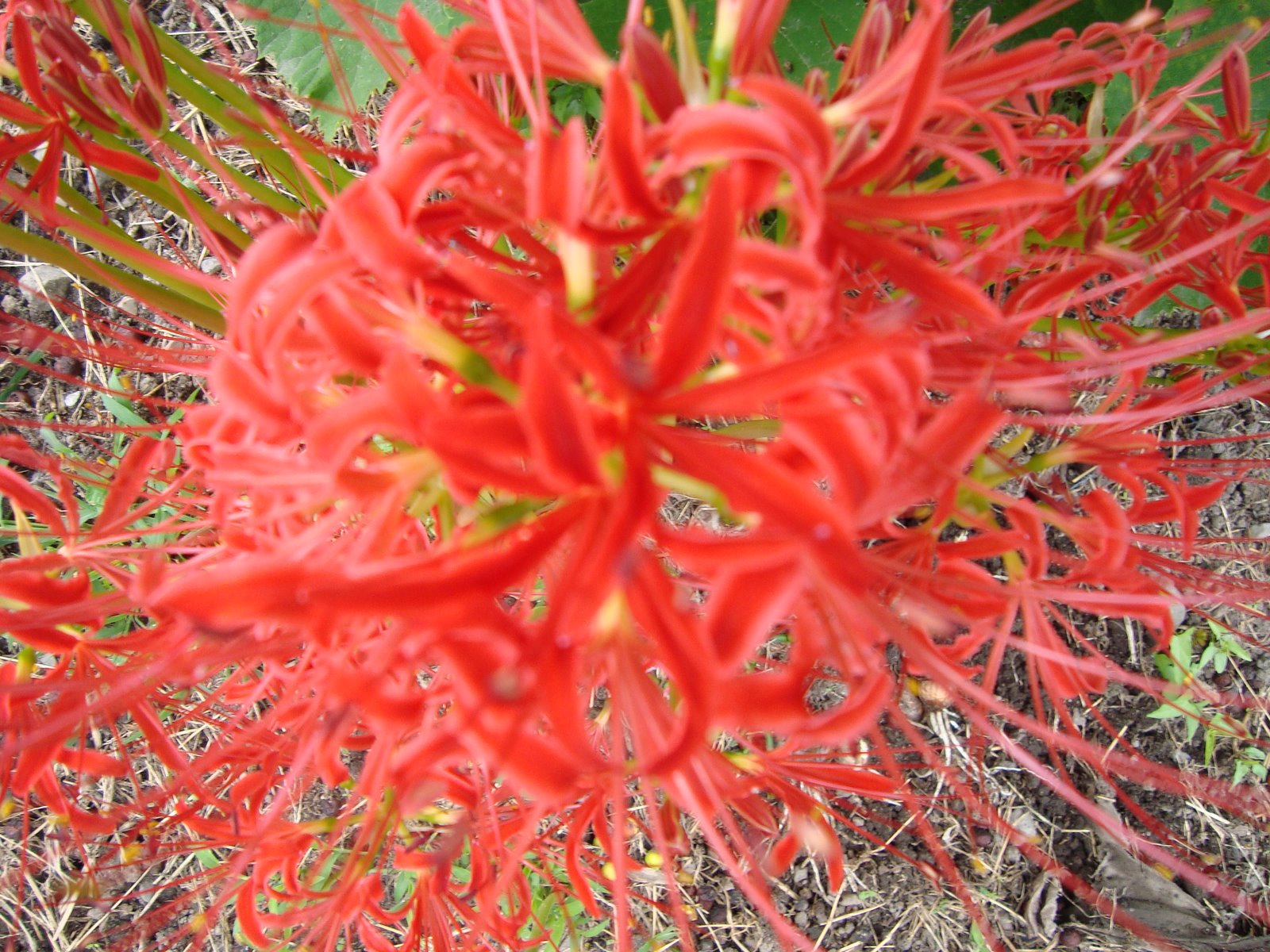 [DSC01430.JPG]
