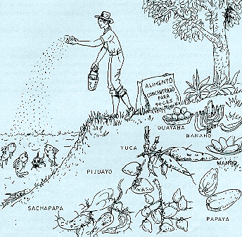 [fig1-6.gif]