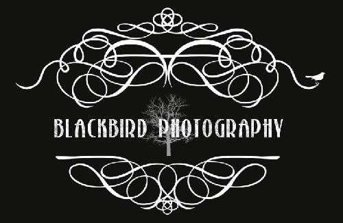 Blackbird Photography Pricing