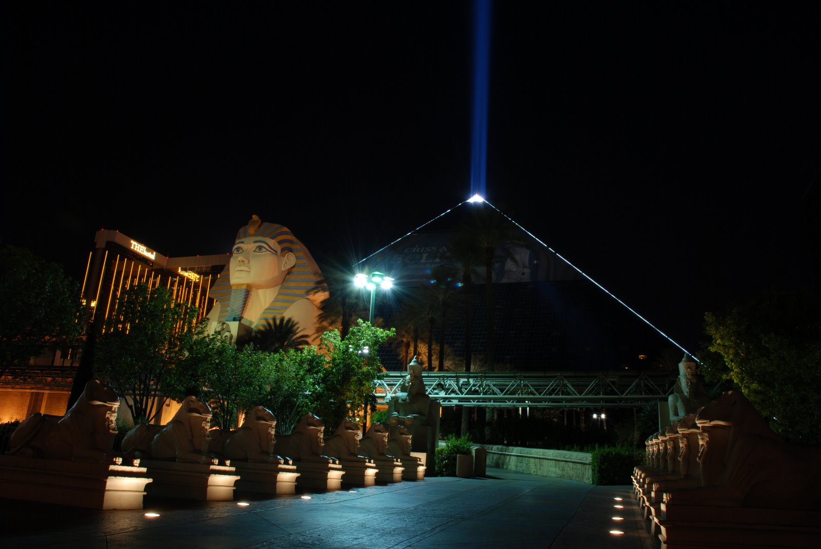 [DSC_0473.JPG]