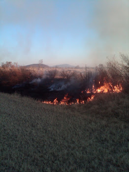 Burning Tumbleweed at Irrigation Ditch