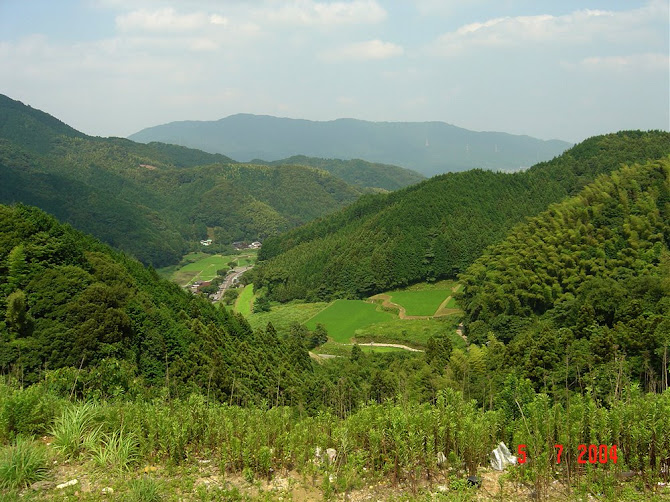 japanese valley