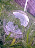 To live in a bubble
