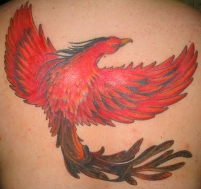 Tribal bird tattoos designs pictures 2