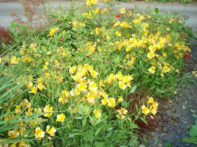 [DSC00501.JPG]