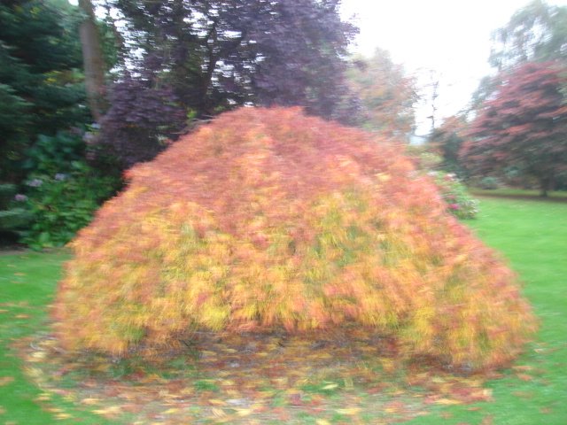 [DSC00643.JPG]