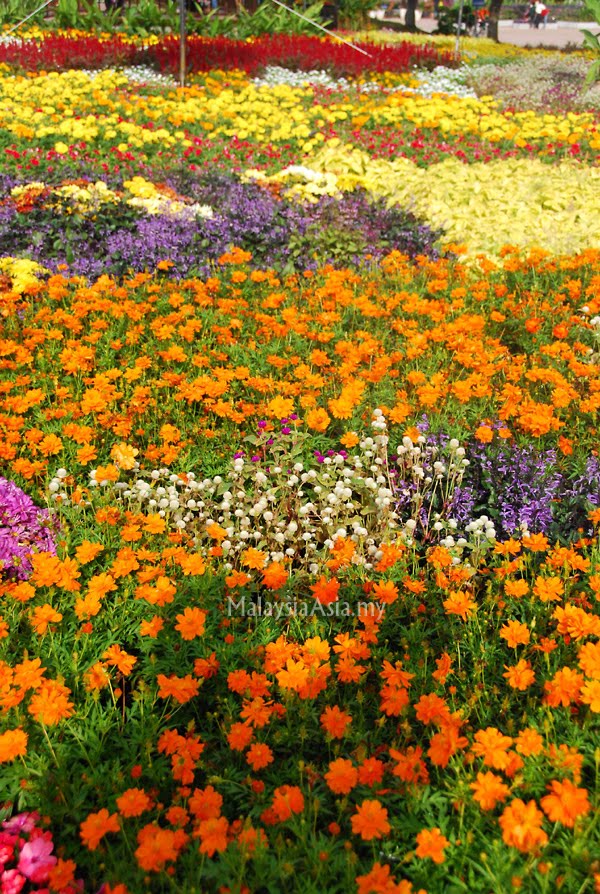 Putrajaya Flower and Garden Festival 2010 Pictures - Malaysia Asia