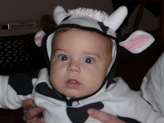 World's Cutest Cow