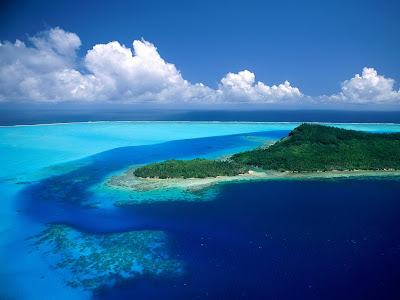 Blue Ocean Pacific - Nature Photography Wallpaper nature photography, ocean photography, ocean, pacific photography, wonderful photography, beach, beauty photography, amazing photography, amazing, wonderland, trees photography, wonderland photography,