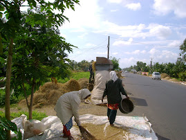 A road side scene in Kuttanad