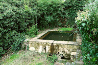 Café Portugal - PASSEIO DE JORNALISTAS na Serra do Caldeirão - Fonte Férrea