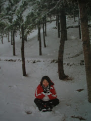 Snowing....Korea