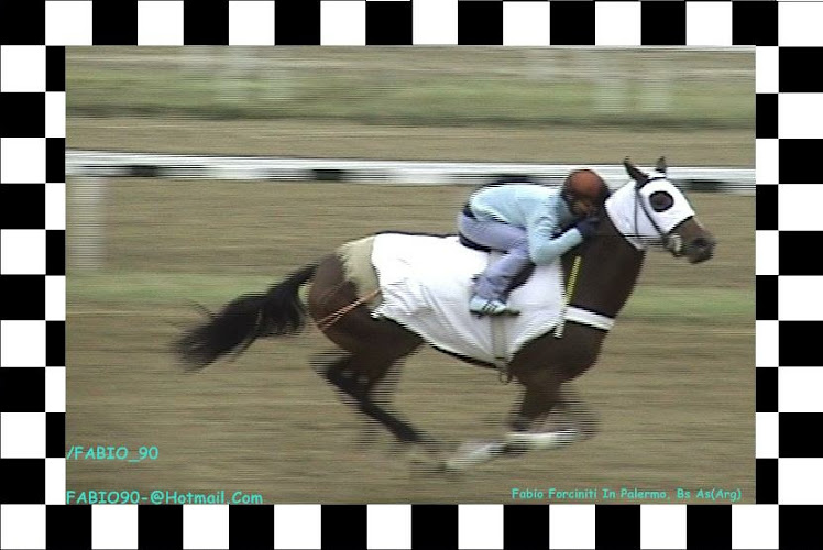 racing palermo turf
